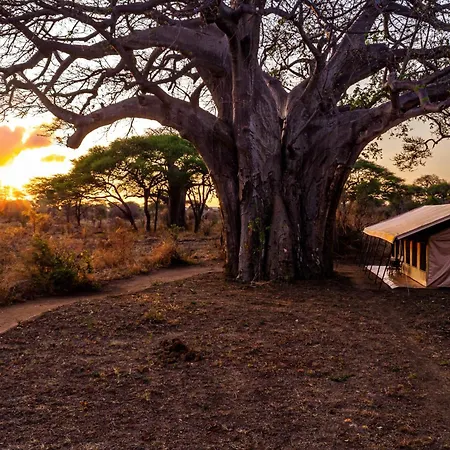 Baobab Tented Camp Kwa Kuchinia Exterior photo