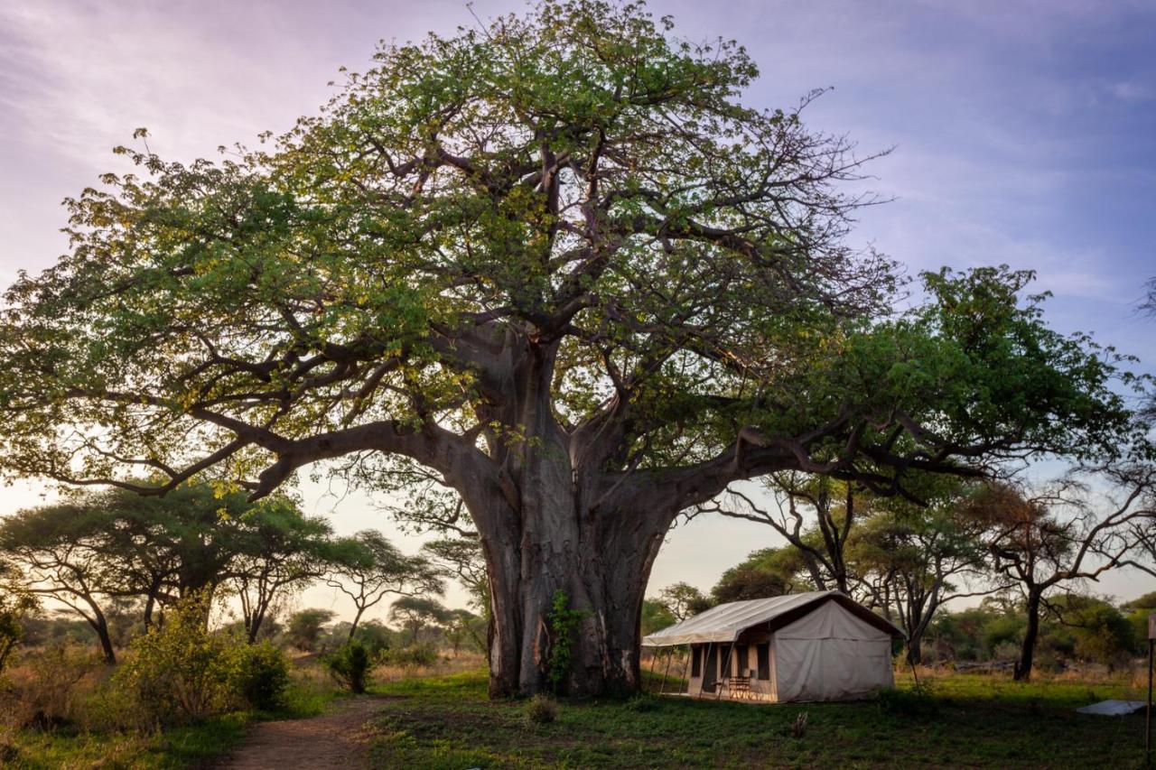 Cabană Baobab Tented Camp Kwa Kuchinia