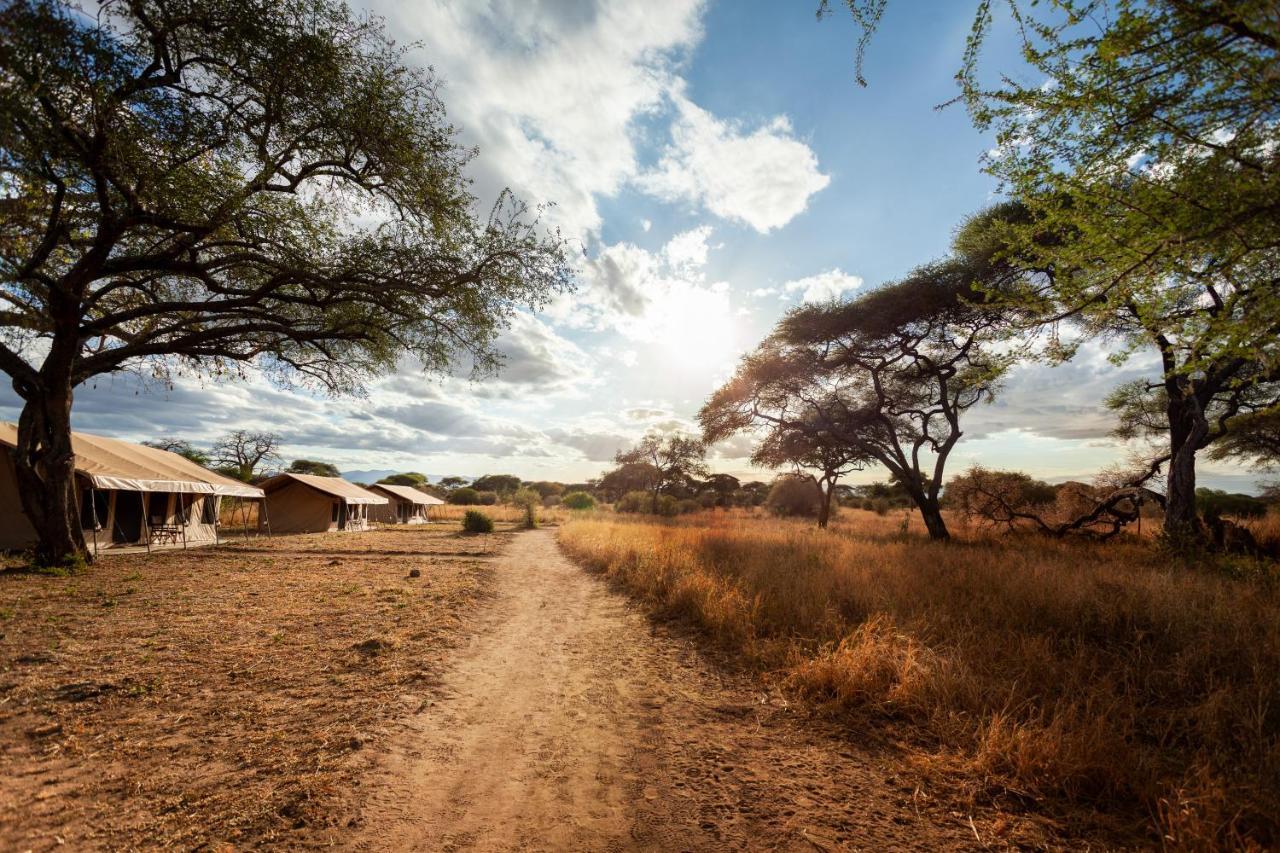 Baobab Tented Camp Kwa Kuchinia
