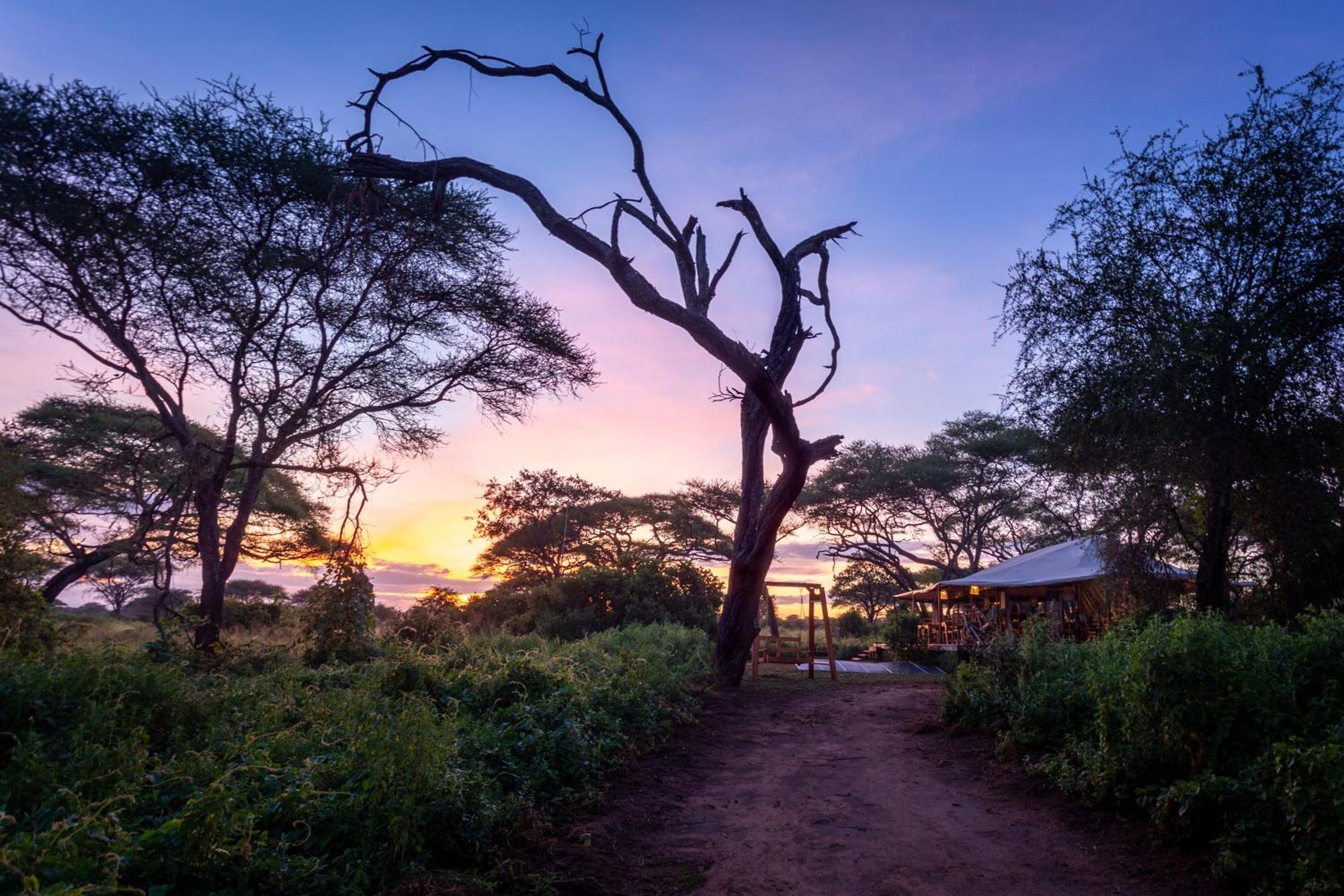 Baobab Tented Camp *